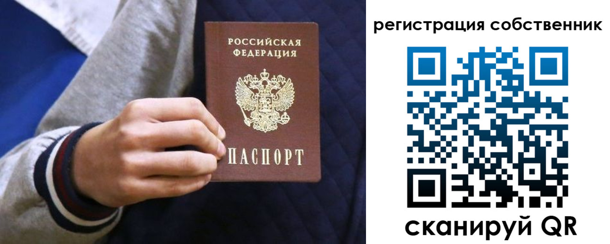 прописка поиск в Гвардейске